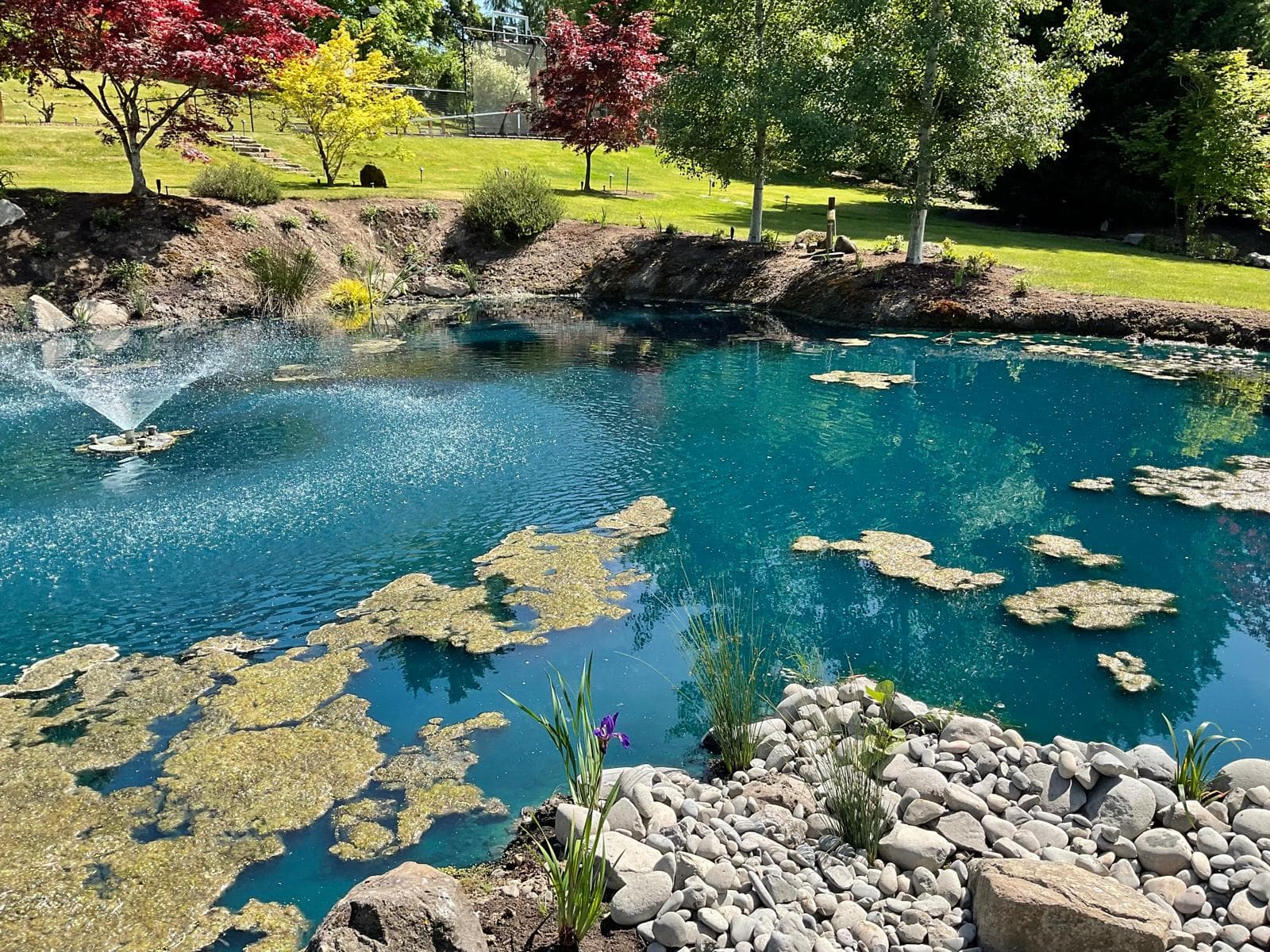 Pond and water feature maintained by GI Landscape — aeration fountain and rock edging